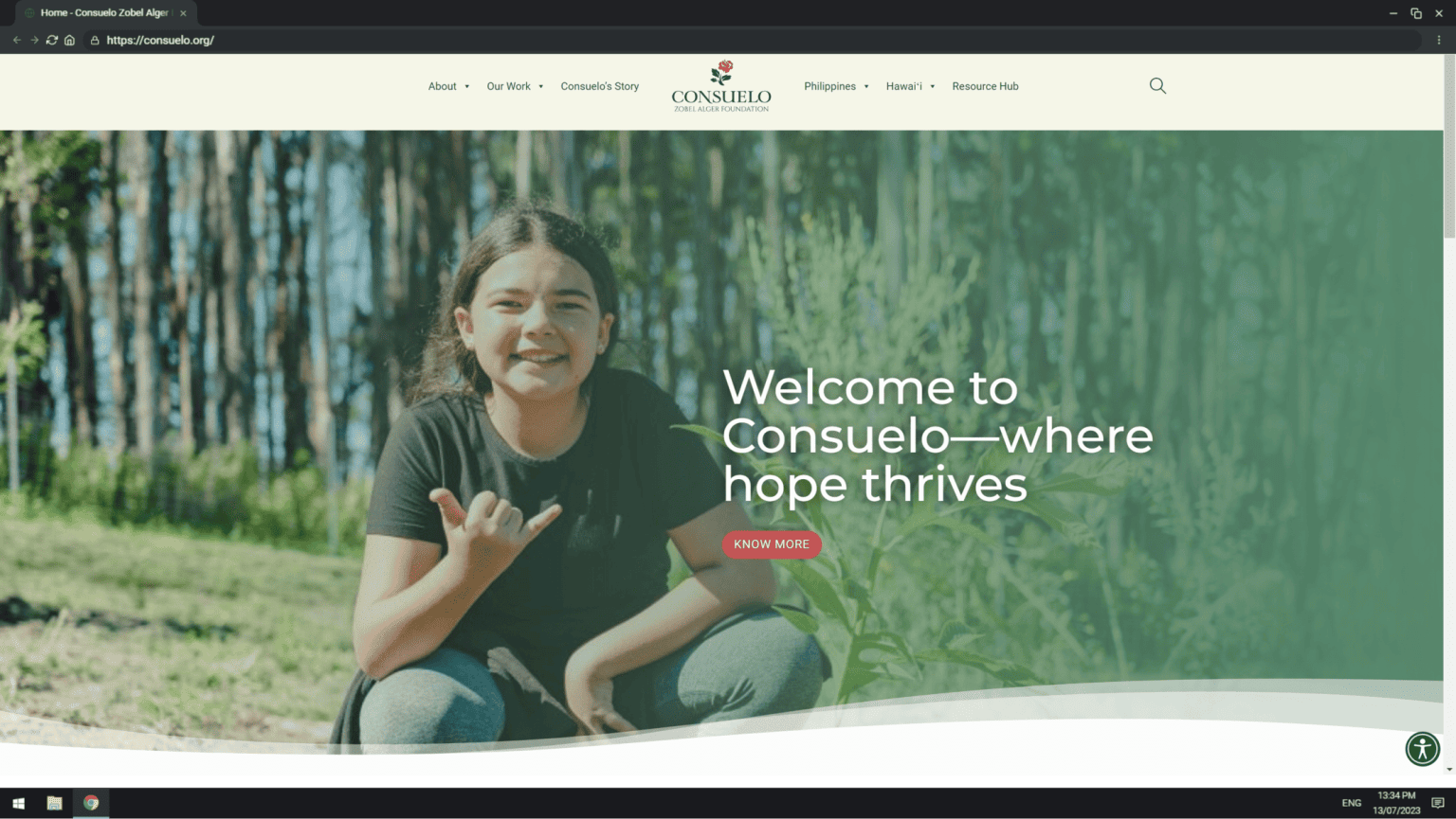 Consuelo Zobel Alger Foundation on desktop
